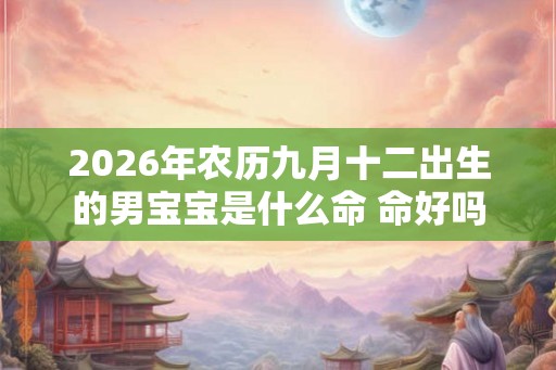 2026年农历九月十二出生的男宝宝是什么命 命好吗 2026年农历九月十二出生的男宝宝是什么命 命好吗
