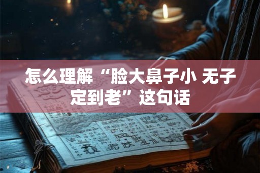 怎么理解“脸大鼻子小 无子定到老”这句话