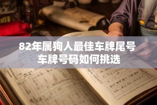 82年属狗人最佳车牌尾号 车牌号码如何挑选