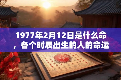 1977年2月12日是什么命，各个时辰出生的人的命运