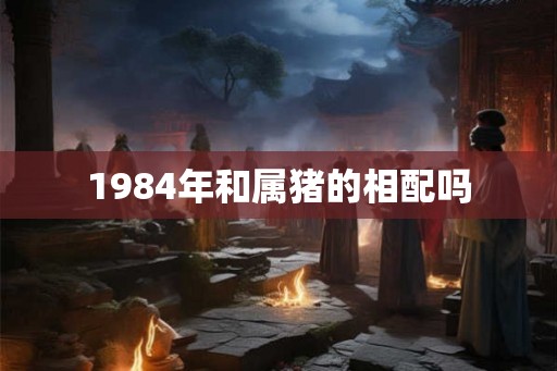 1984年和属猪的相配吗