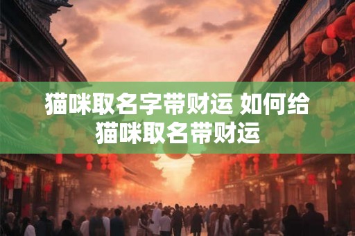 猫咪取名字带财运 如何给猫咪取名带财运