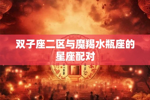 双子座二区与魔羯水瓶座的星座配对