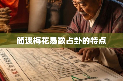 简谈梅花易数占卦的特点