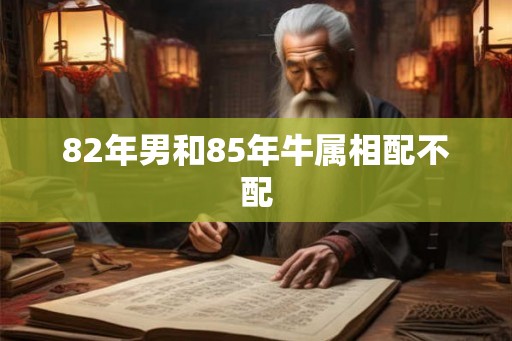 82年男和85年牛属相配不配