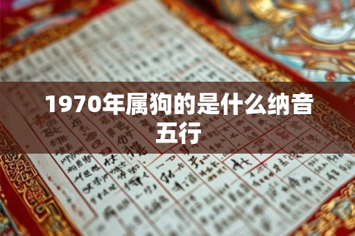 1970年属狗的是什么纳音五行