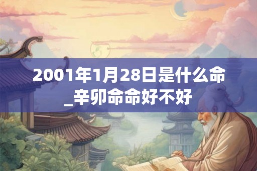 2001年1月28日是什么命_辛卯命命好不好
