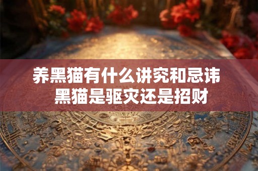 养黑猫有什么讲究和忌讳  黑猫是驱灾还是招财