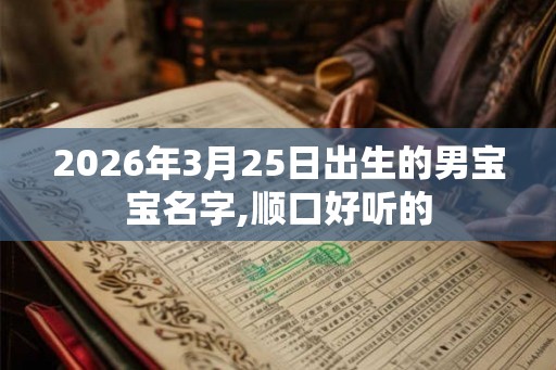2026年3月25日出生的男宝宝名字,顺口好听的