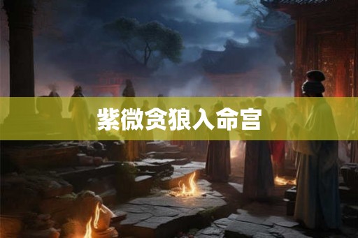 紫微贪狼入命宫 紫微贪狼入命宫