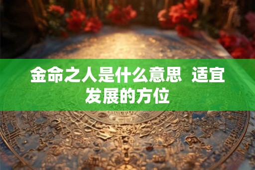 金命之人是什么意思  适宜发展的方位