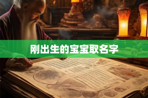 刚出生的宝宝取名字