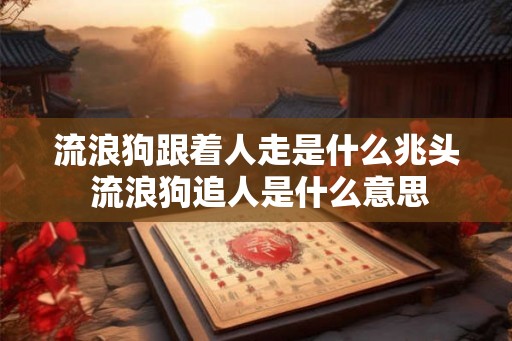 流浪狗跟着人走是什么兆头 流浪狗追人是什么意思