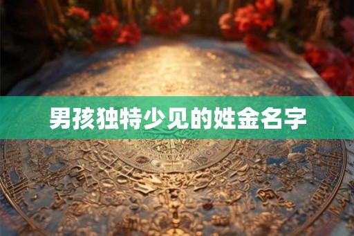 男孩独特少见的姓金名字