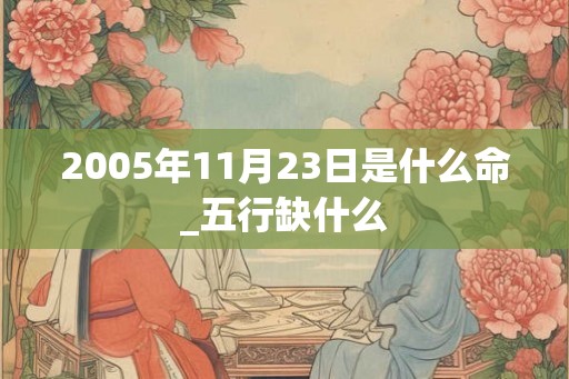 2005年11月23日是什么命_五行缺什么
