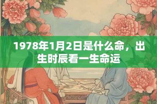 1978年1月2日是什么命，出生时辰看一生命运