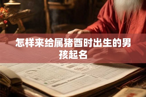 怎样来给属猪酉时出生的男孩起名