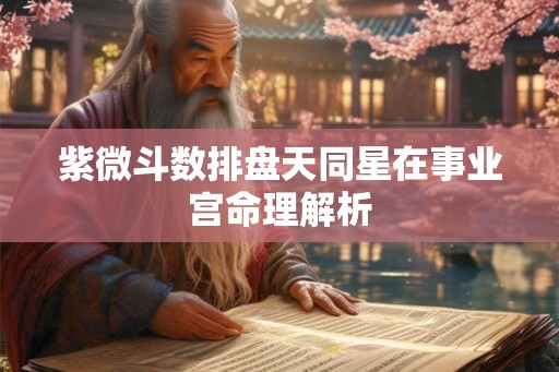 紫微斗数排盘天同星在事业宫命理解析