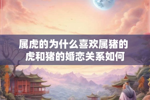 属虎的为什么喜欢属猪的 虎和猪的婚恋关系如何 属虎的为什么喜欢属猪的 虎和猪的婚恋关系如何