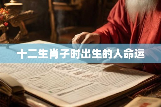 十二生肖子时出生的人命运