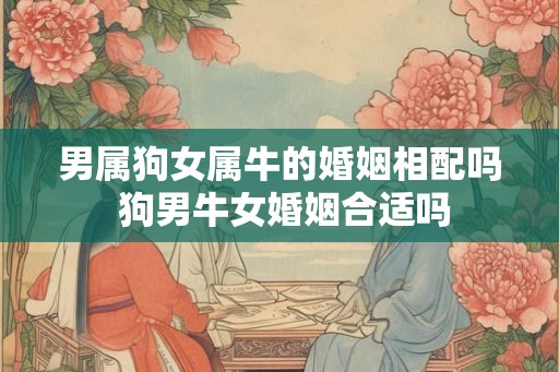 男属狗女属牛的婚姻相配吗 狗男牛女婚姻合适吗