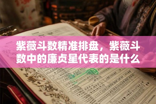 紫薇斗数精准排盘，紫薇斗数中的廉贞星代表的是什么？