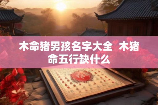 木命猪男孩名字大全  木猪命五行缺什么