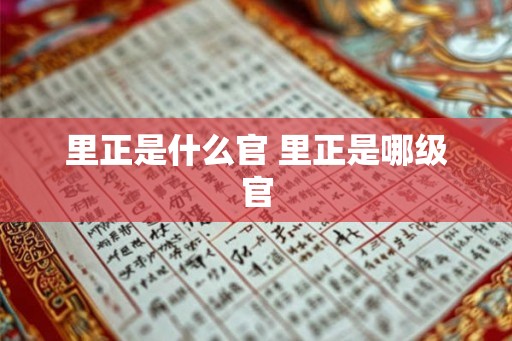 里正是什么官 里正是哪级官 里正是什么官 里正是哪级官