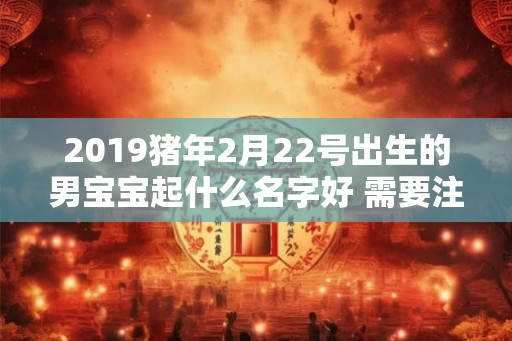 2019猪年2月22号出生的男宝宝起什么名字好 需要注意什么