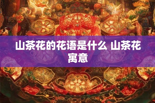 山茶花的花语是什么 山茶花寓意