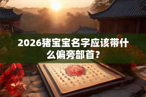 2026猪宝宝名字应该带什么偏旁部首? 2026猪宝宝名字应该带什么偏旁部首?