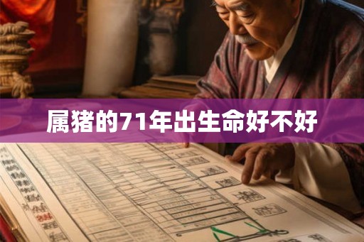 属猪的71年出生命好不好