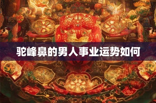 驼峰鼻的男人事业运势如何