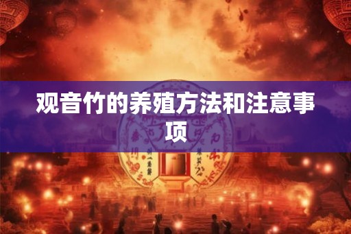 观音竹的养殖方法和注意事项