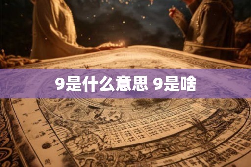 9是什么意思 9是啥