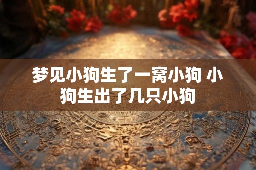 梦见小狗生了一窝小狗 小狗生出了几只小狗