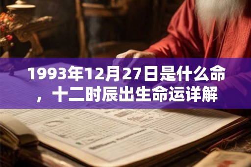1993年12月27日是什么命，十二时辰出生命运详解