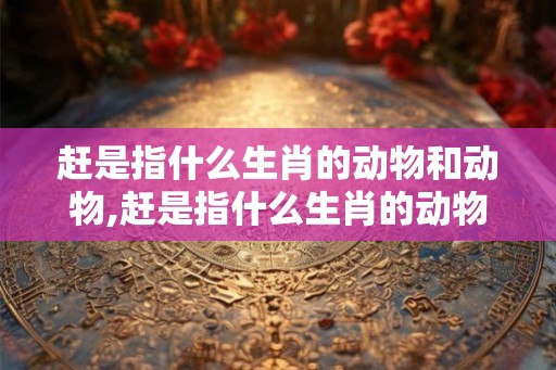 赶是指什么生肖的动物和动物,赶是指什么生肖的动物和动物图片