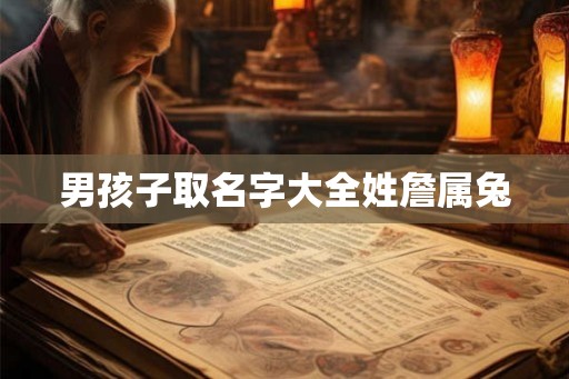 男孩子取名字大全姓詹属兔