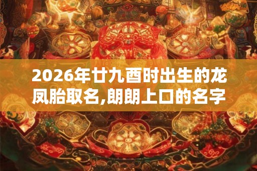 2026年廿九酉时出生的龙凤胎取名,朗朗上口的名字