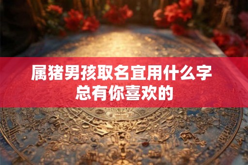 属猪男孩取名宜用什么字 总有你喜欢的