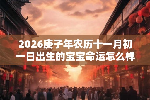 2026庚子年农历十一月初一日出生的宝宝命运怎么样？