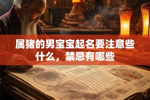 属猪的男宝宝起名要注意些什么，禁忌有哪些