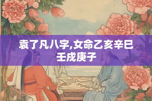 袁了凡八字,女命乙亥辛巳壬戍庚子