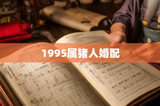 1995属猪人婚配