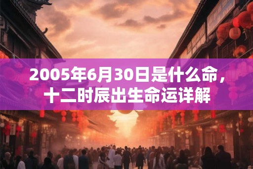 2005年6月30日是什么命，十二时辰出生命运详解
