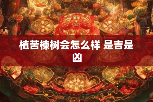 植苦楝树会怎么样 是吉是凶