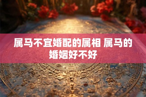 属马不宜婚配的属相 属马的婚姻好不好