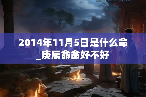 2014年11月5日是什么命_庚辰命命好不好