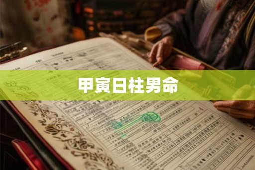甲寅日柱男命